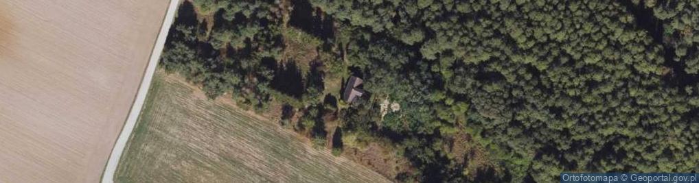 Zdjęcie satelitarne Mlewo ul.