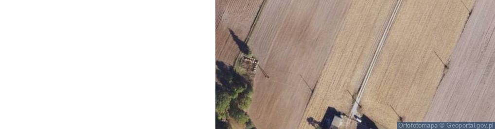 Zdjęcie satelitarne Mlewo ul.