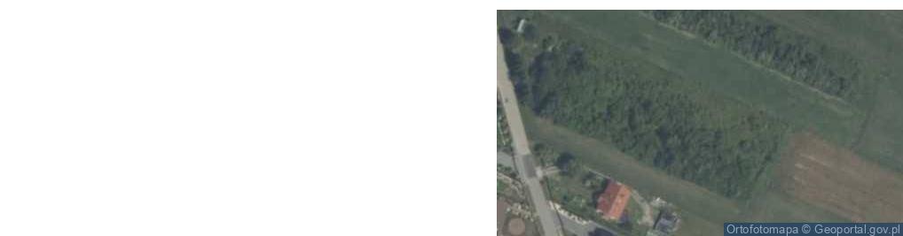 Zdjęcie satelitarne Młodocin Większy ul.