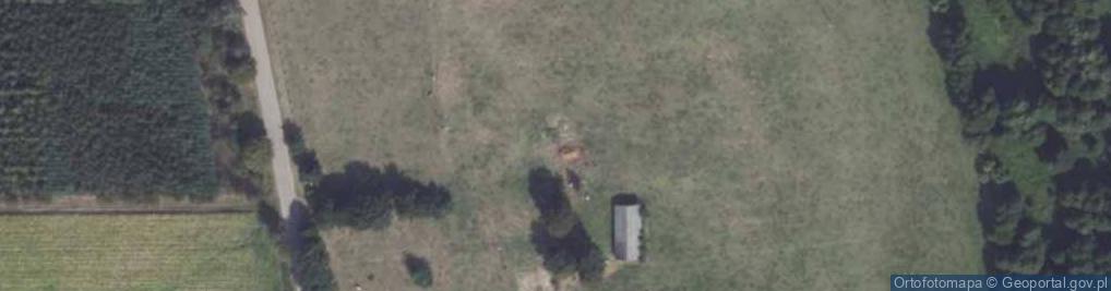 Zdjęcie satelitarne Młodynin ul.