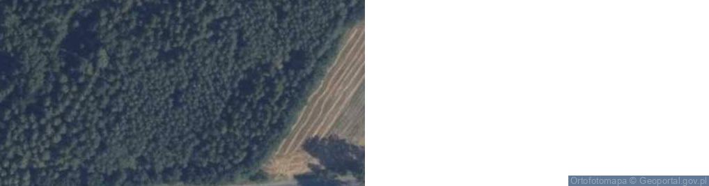 Zdjęcie satelitarne Młynki ul.