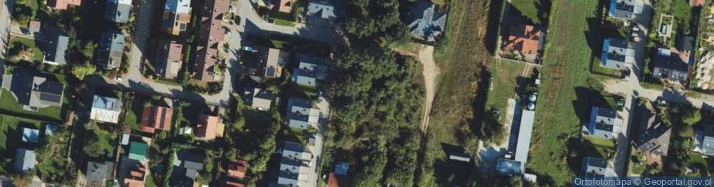 Zdjęcie satelitarne Młodzieżowa ul.