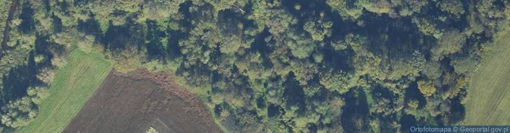 Zdjęcie satelitarne Młyńska ul.