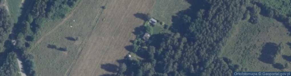 Zdjęcie satelitarne Modrzewiowa ul.