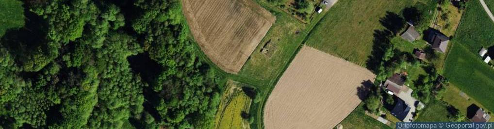 Zdjęcie satelitarne Modrzewiowa ul.