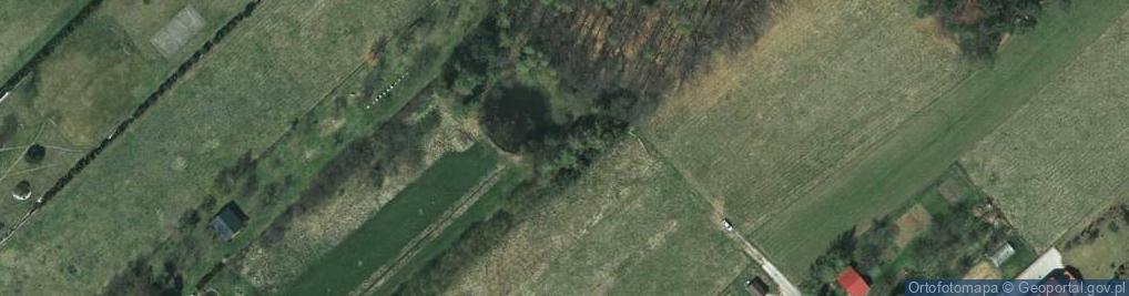 Zdjęcie satelitarne Modrzewiowa ul.