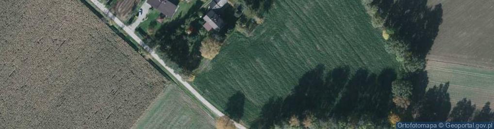 Zdjęcie satelitarne Modrzewiowa ul.