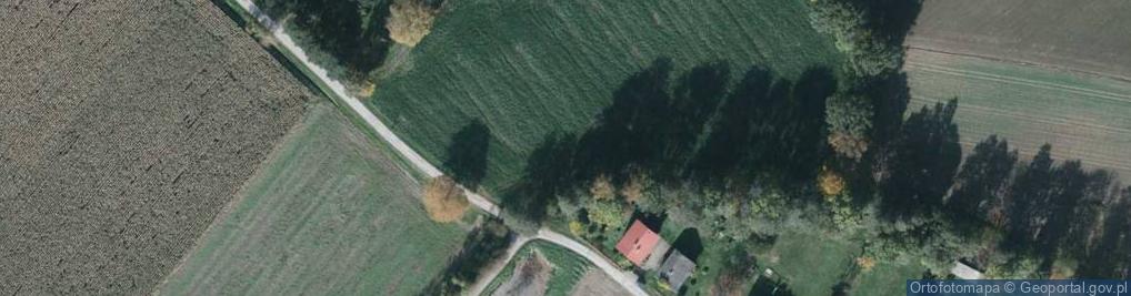 Zdjęcie satelitarne Modrzewiowa ul.