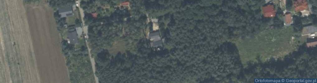 Zdjęcie satelitarne Modrzewiowa ul.