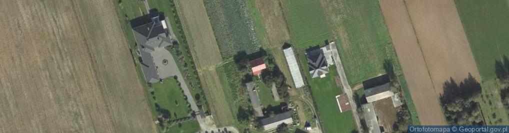 Zdjęcie satelitarne Morwowa ul.