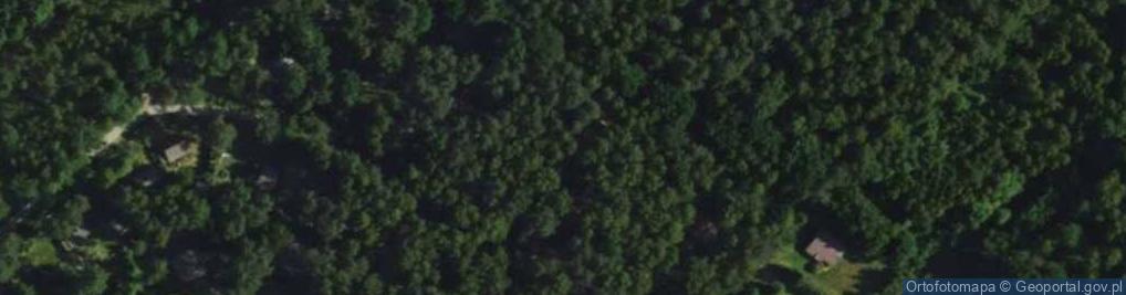 Zdjęcie satelitarne Modrzewiowa ul.