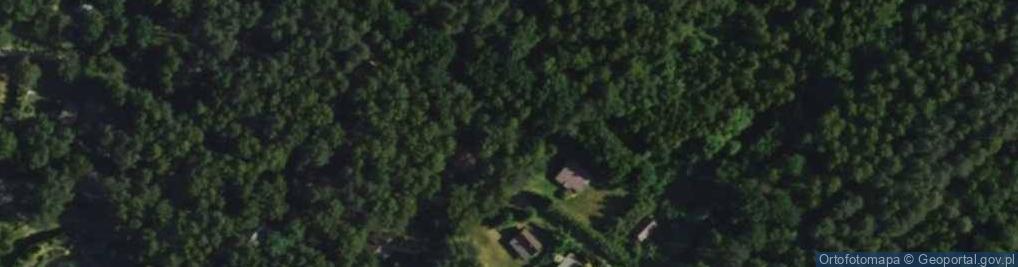 Zdjęcie satelitarne Modrzewiowa ul.