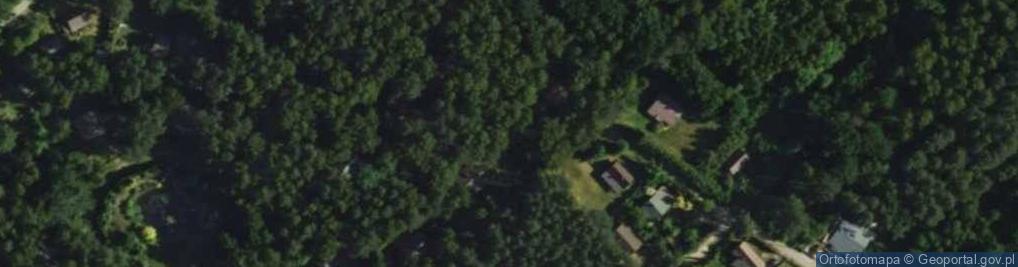 Zdjęcie satelitarne Modrzewiowa ul.