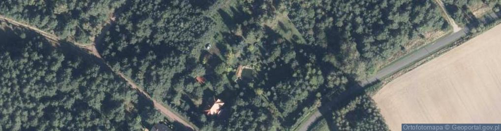Zdjęcie satelitarne Modrzewiowa ul.