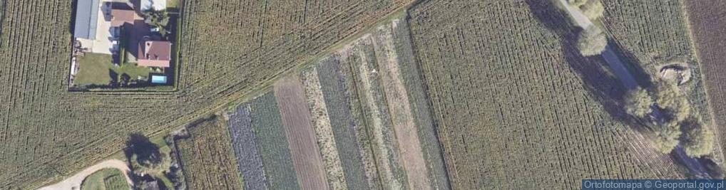 Zdjęcie satelitarne Mokra ul.