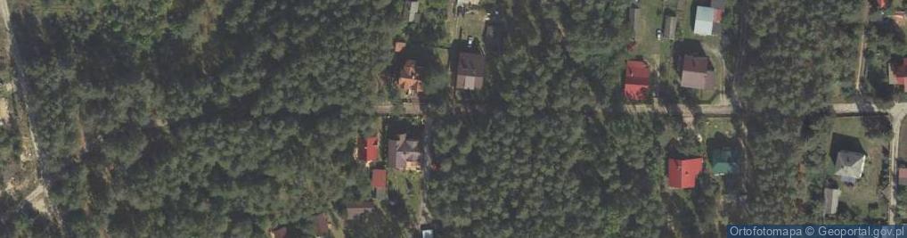 Zdjęcie satelitarne Modrzewiowa ul.