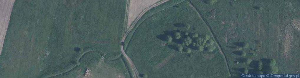 Zdjęcie satelitarne Modrzewiowa ul.