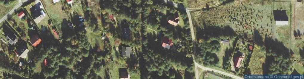 Zdjęcie satelitarne Modrzewiowa ul.