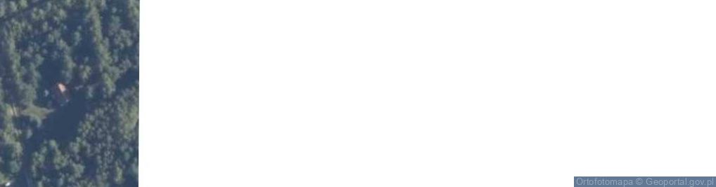 Zdjęcie satelitarne Modrzewiowa ul.