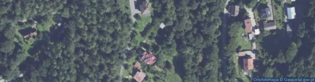 Zdjęcie satelitarne Modrzewiowa ul.