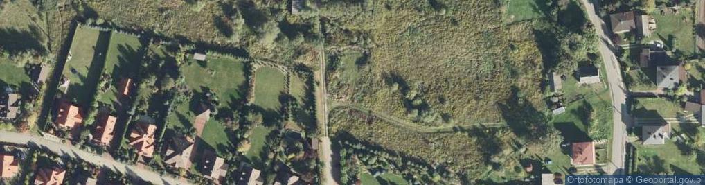Zdjęcie satelitarne Modrzewiowa ul.