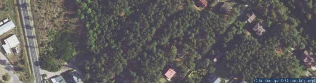 Zdjęcie satelitarne Modrzewiowa ul.