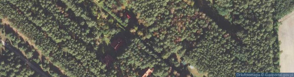 Zdjęcie satelitarne Moczalec ul.