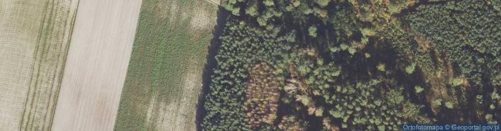 Zdjęcie satelitarne Moczalec ul.