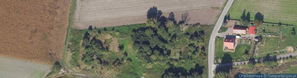 Zdjęcie satelitarne Modliszewo ul.