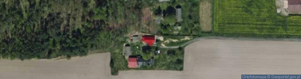 Zdjęcie satelitarne Modrzewek ul.