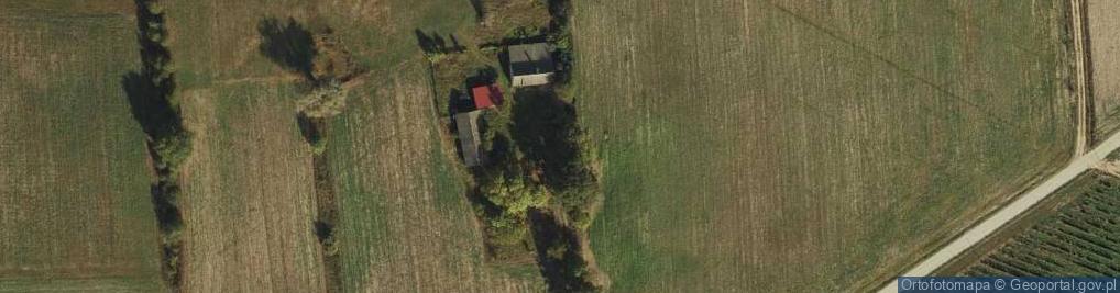 Zdjęcie satelitarne Modrzewie ul.