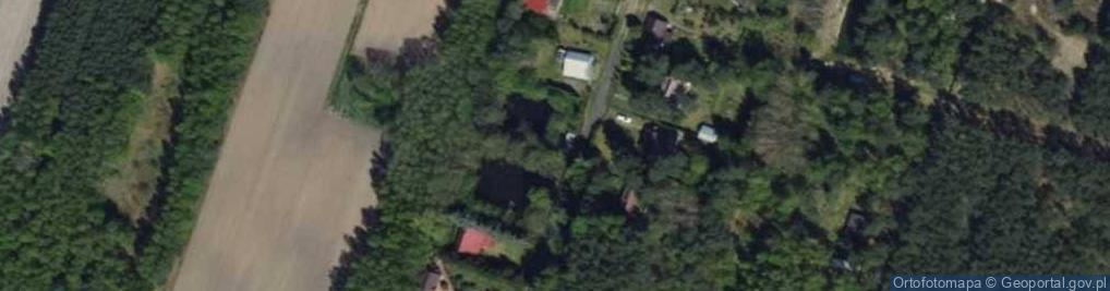 Zdjęcie satelitarne Mogilno ul.