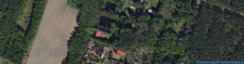 Zdjęcie satelitarne Mogilno ul.