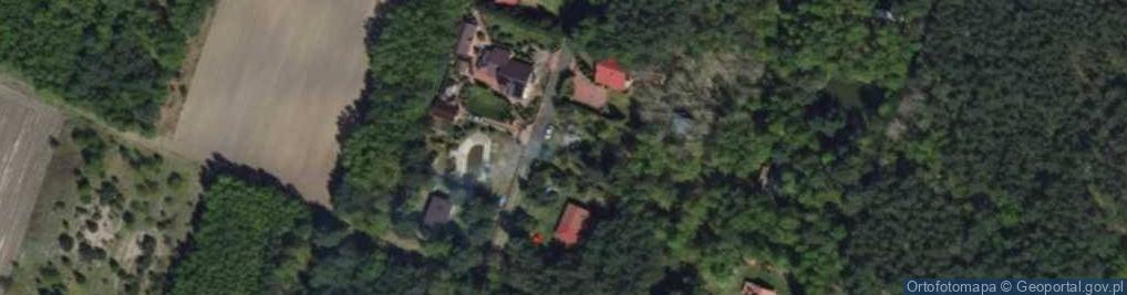 Zdjęcie satelitarne Mogilno ul.
