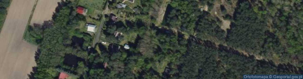 Zdjęcie satelitarne Mogilno ul.