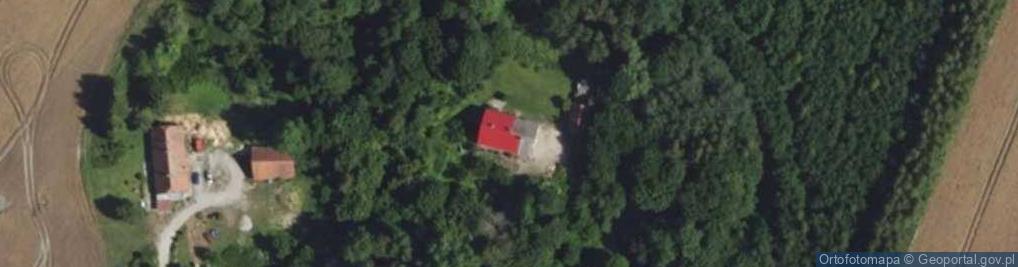 Zdjęcie satelitarne Molwity ul.