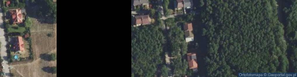 Zdjęcie satelitarne Modrzewiowa ul.