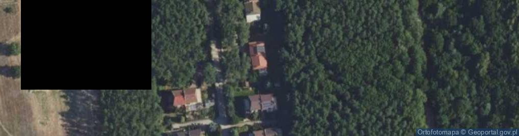 Zdjęcie satelitarne Modrzewiowa ul.