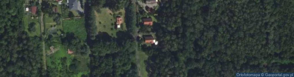 Zdjęcie satelitarne Modrzewiowa ul.