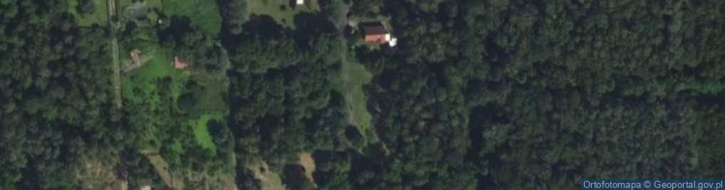 Zdjęcie satelitarne Modrzewiowa ul.