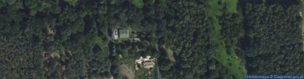 Zdjęcie satelitarne Modrzewiowa ul.