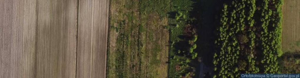 Zdjęcie satelitarne Modra ul.