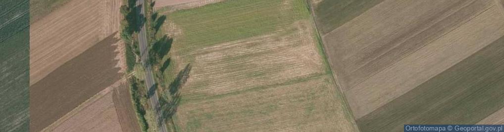 Zdjęcie satelitarne Modraszka ul.