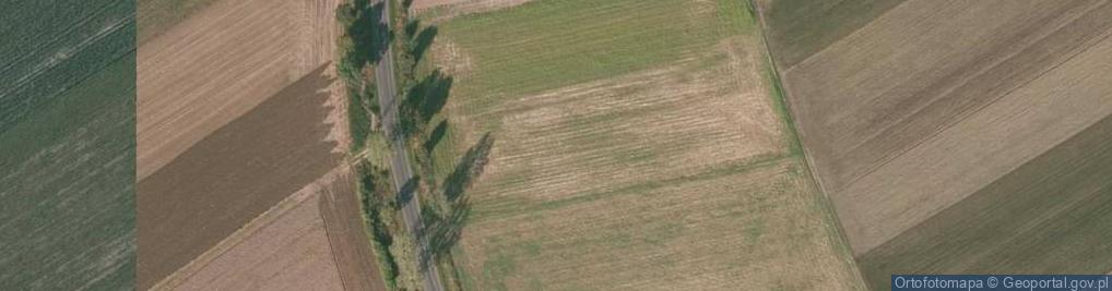 Zdjęcie satelitarne Modraszka ul.