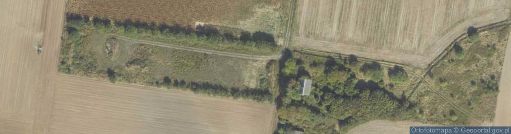 Zdjęcie satelitarne Modrzewiowa ul.