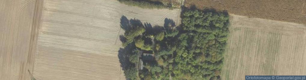 Zdjęcie satelitarne Modrzewiowa ul.