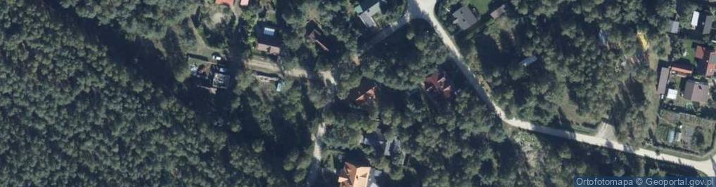 Zdjęcie satelitarne Modrzewiowa ul.