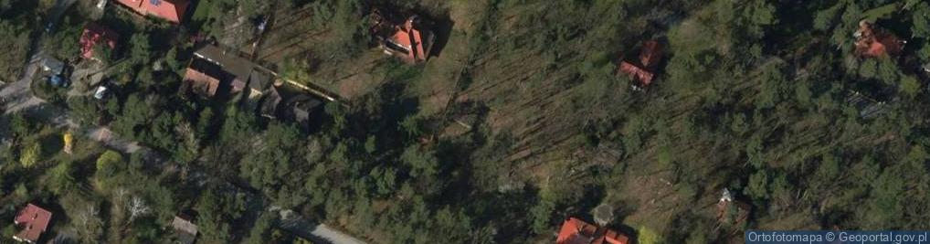 Zdjęcie satelitarne Modrzewiowa ul.