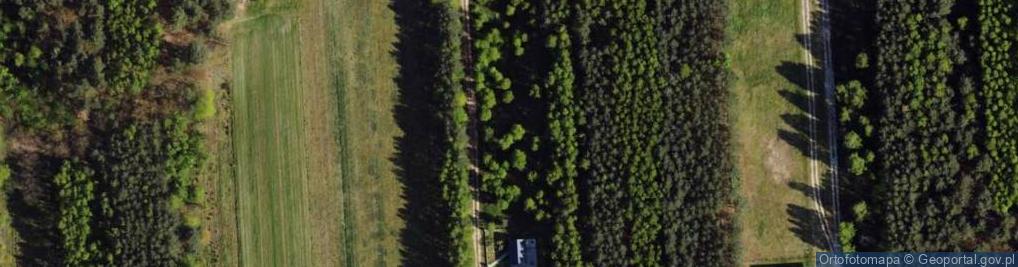 Zdjęcie satelitarne Modrzewiowa ul.