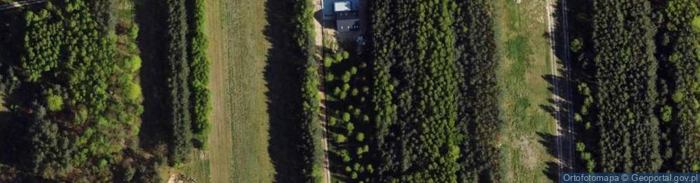 Zdjęcie satelitarne Modrzewiowa ul.